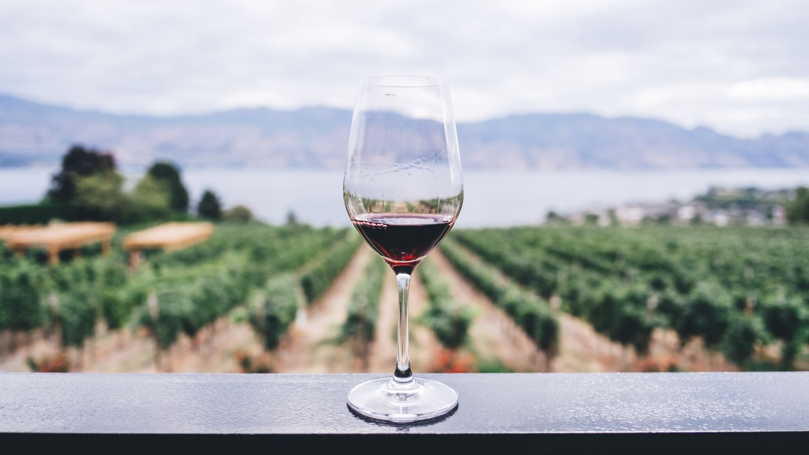 vindulge wine food travel lifestyle blog