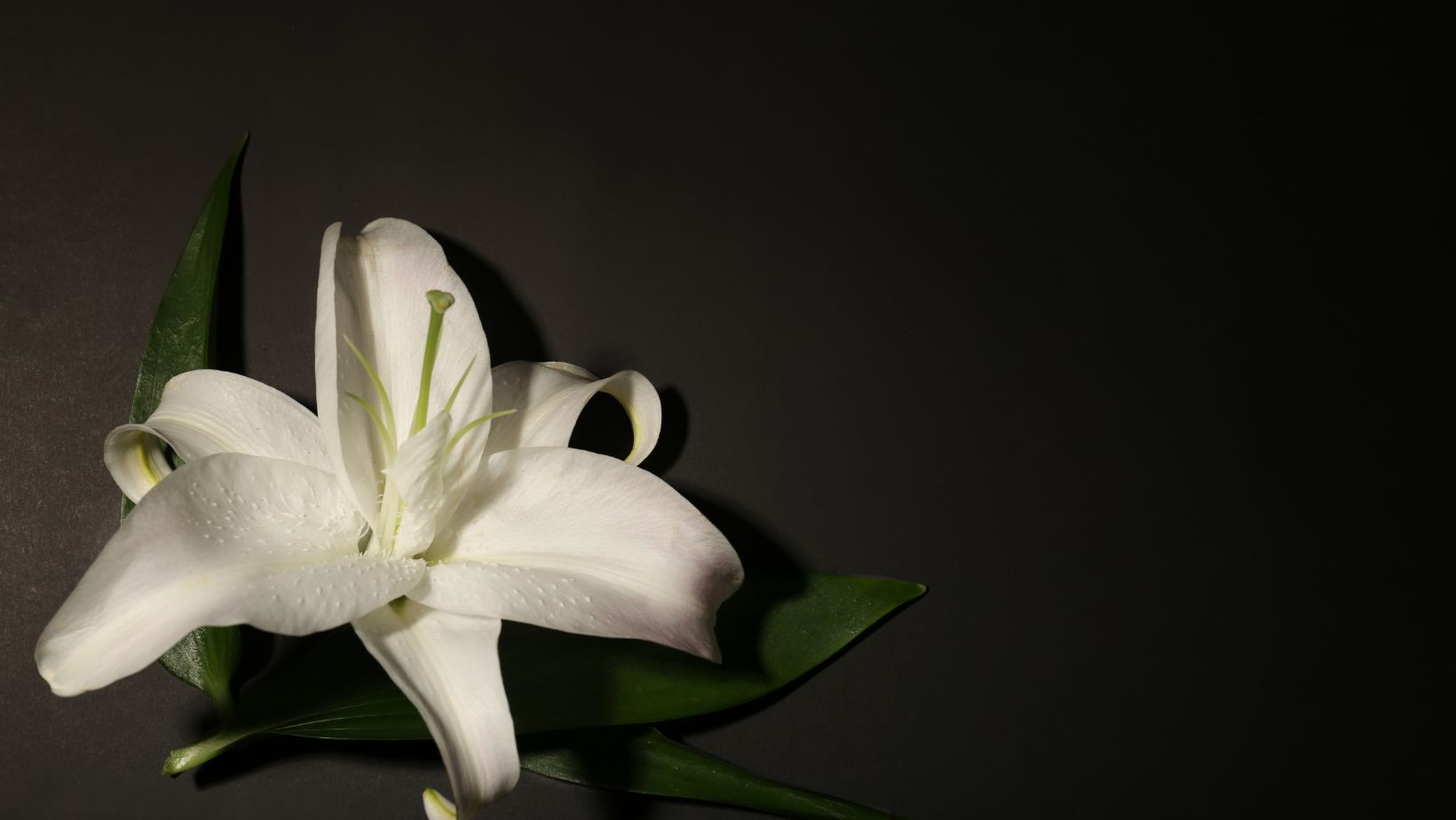 peery and st clair funeral home obituaries